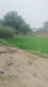 Image of 1200 Sq.ft Residential Plot / Land for sale in Paijawa, Patna for Rs. 1000000