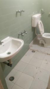 Bathroom Image of 986 Sq.ft 2 BHK Apartment / Flat for rent in T Nagar Chennai for Rs. 30000