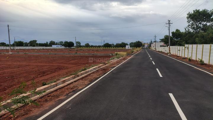 Peedampalli Main Image 1