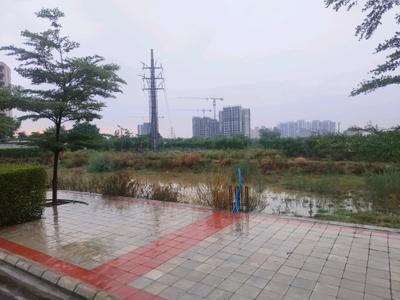 Image of 147 Sq.ft Residential Plot / Land for sale in Skywhales Vienna Greens II, Sector 99A, Gurgaon for Rs. 26700006