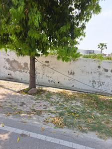 Image of 240 Sq.ft Residential Plot / Land for sale in Sector 15A, Noida for Rs. 115000000