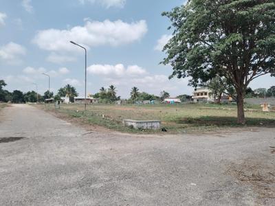 Magnolia Valley Woods Plot View 3