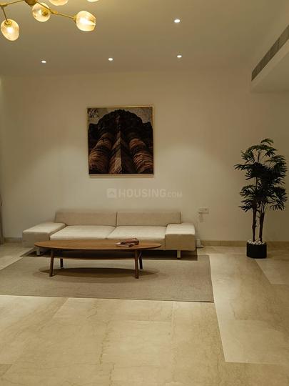 Orchid Heaven Main Image 1