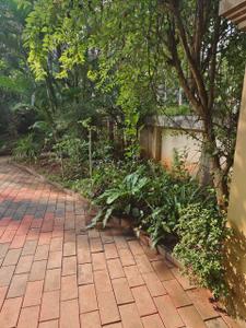 Image of 11000 Sq.ft 5 BHK Independent House for sale in Palazhi, Kozhikode for Rs. 80000000