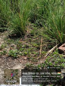 Image of 3000 Sq.ft Residential Plot / Land for sale in Banthra Sikander Pur, Lucknow for Rs. 12000000