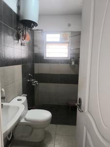 Common Bathroom Image of 1800 Sq.ft 3 BHK Apartment / Flat for rent in Brick Post, Cox Town Bengaluru for Rs. 65000