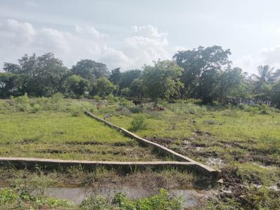 Image of 15300 Sq.ft Residential Plot / Land for sale in Kandul, Raipur for Rs. 16000000