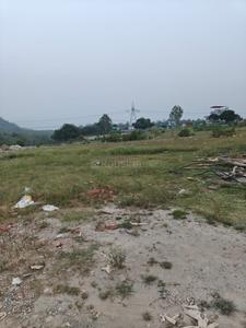 Dhalwala Plot View 2