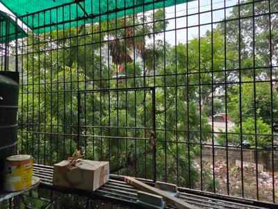 Balcony Image of 700 Sq.ft 1 BHK Apartment / Flat for sale in Nizampura Vadodara for Rs. 2500000