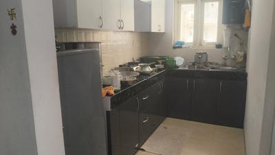 Kitchen Image of 980 Sq.ft 2 BHK Apartment / Flat for sale in Krish Icon, Sector 33 Bhiwadi for Rs. 2500000