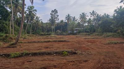 Image of 23084 Sq.ft Residential Plot / Land for sale in Veiloor, Thiruvananthapuram for Rs. 16000000