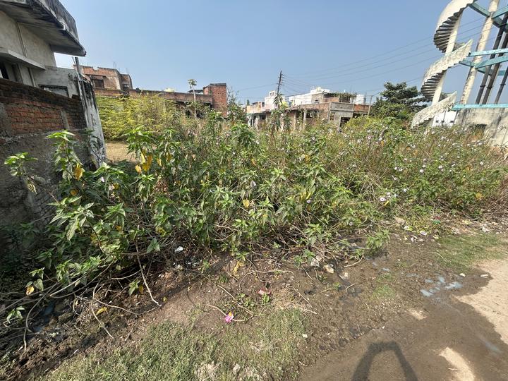 Vidya Nagar Main Image 1