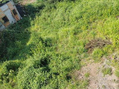 Image of 7500 Sq.ft Residential Plot / Land for sale in Sapgaon, Thane for Rs. 2200000
