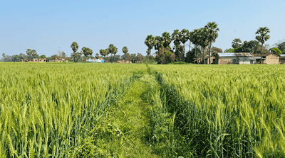 Image of 12250 Sq.ft Residential Plot / Land for sale in Bakhtiarpur, Patna for Rs. 5400000
