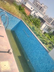 Swimming Pool Image of 4879 Sq.ft 5 BHK Villa for sale in Sikanderguda Hyderabad for Rs. 87822000