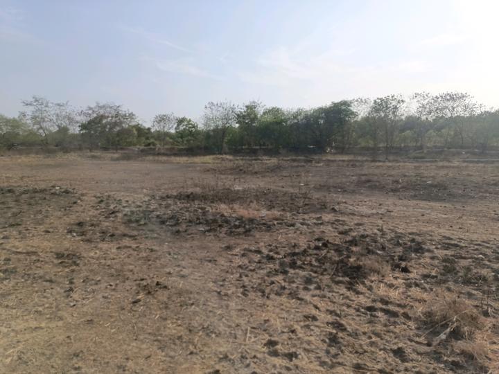 City prop plot in vindhane Main Image 1