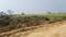 Maner Plot View 2