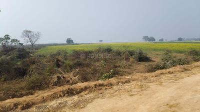 Maner Plot View 2