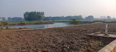 Image of 3000 Sq.ft Residential Plot / Land for sale in Bakshi Ka Talab, Lucknow for Rs. 3300000
