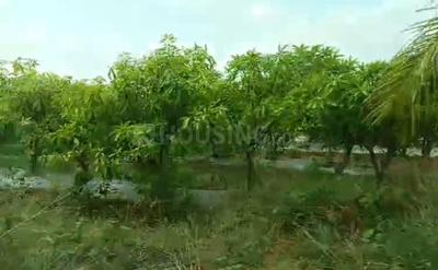 Image of 242 Sq.ft Residential Plot / Land for sale in Shamirpet, Hyderabad for Rs. 2500000