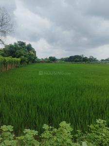 Image of 43560 Sq.ft Residential Plot / Land for sale in Ashapur Village, Ayodhya for Rs. 67000000