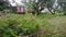 Tunwala, Nehrugram Plot View 2