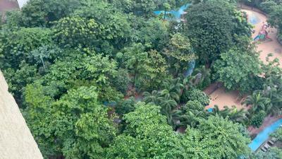 Image of 911 Sq.ft 3 BHK Apartment / Flat for rent in Runwal Gardens Phase 3 Bldg No 29 30, Dombivli East, Thane for Rs. 30000