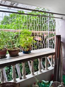 Balcony Image of 2250 Sq.ft 3 BHK Builder Floor for sale in Behala Chowrasta Kolkata for Rs. 10000000