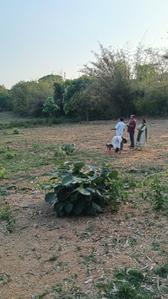 Image of 2400 Sq.ft Residential Plot / Land for sale in Tiro, Bokaro for Rs. 1800000