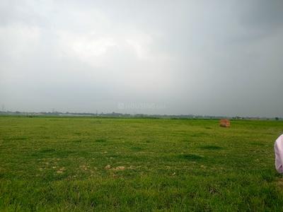 Image of 1000 Sq.ft Residential Plot / Land for sale in Tal Kandala, Gorakhpur for Rs. 799000