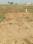 Spm city Plot View 2