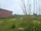 Yeida Plot View 2