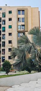 Image of 1180 Sq.ft 2 BHK Apartment / Flat for sale in Laxmi Nivas, Narolgam, Ahmedabad for Rs. 2460000