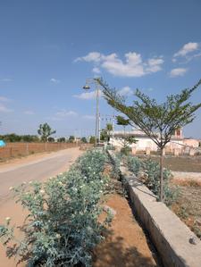 Image of 2430 Sq.ft Residential Plot / Land for sale in Narayan Vihar, Jaipur for Rs. 14850000