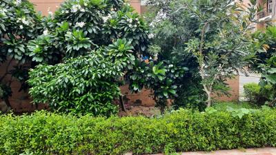 Image of 800 Sq.ft 2 BHK Independent House for sale in Sector 57, Faridabad for Rs. 3000000