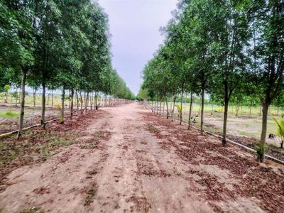 Image of 12000 Sq.ft Residential Plot / Land for sale in Uthiramerur, Chennai for Rs. 4000000
