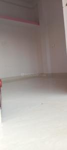 Hall Image of 500 Sq.ft 1 BHK Builder Floor for rent in Ranti Madhubani for Rs. 6000