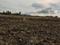 Sarde Plot View 2