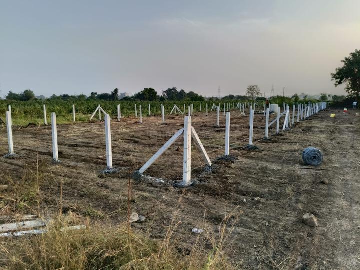 Gracelands Legacy Main Image 1