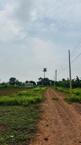 Image of 5000 Sq.ft Residential Plot / Land for sale in Kapasda, Durg for Rs. 2875000