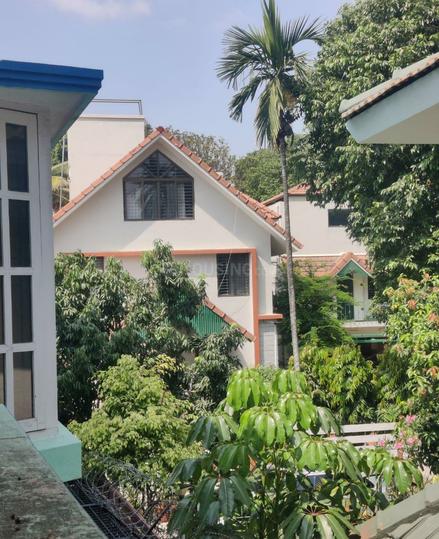 Ferns Rainbow Drive Main Image 1