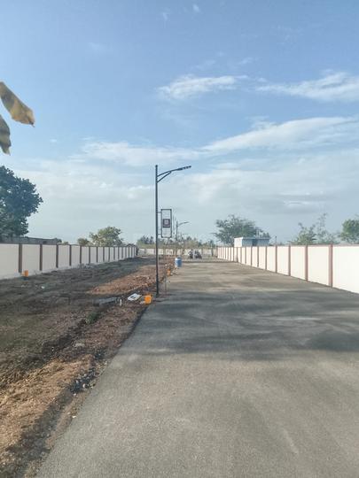 Orchid Springs Main Image 1