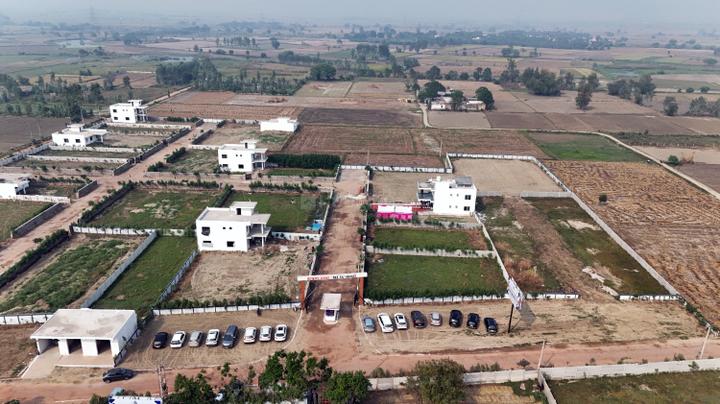 Nagalia Main Image 1