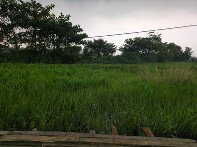 Image of 1440 Sq.ft Residential Plot / Land for sale in Raspunja Township, Joka, Kolkata for Rs. 448000