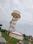 AADI RESIDENCY KNOWLEDGE CITY Main Image 1