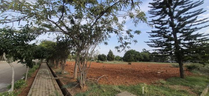 Sarjapur Main Image 1