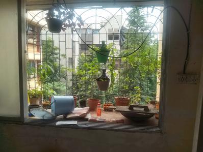 Bedroom Image of 456 Sq.ft 1 BHK Apartment / Flat for rent in Surya Gokul Accord, Kandivali East Mumbai for Rs. 28000