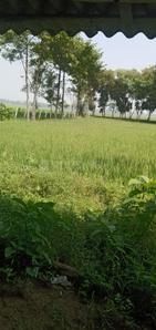 Image of 21600 Sq.ft Residential Plot / Land for sale in Galsi, Bardhaman for Rs. 200000