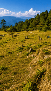 Image of 300 Sq.ft Residential Plot / Land for sale in Kanyura, Almora for Rs. 2500000