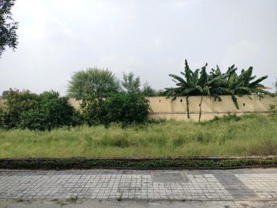 Soha Neal City Plot View 1